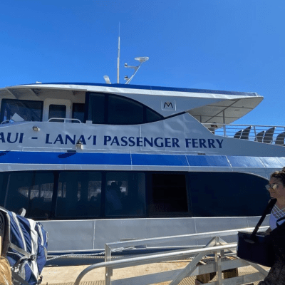 a group of people standing around a plane