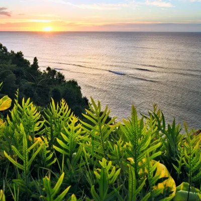 a group of palm trees on a beach near a body of water