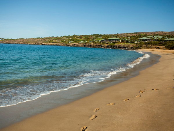a sandy beach next to the ocean