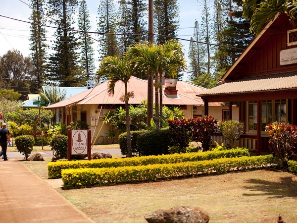 a group of people standing in a garden