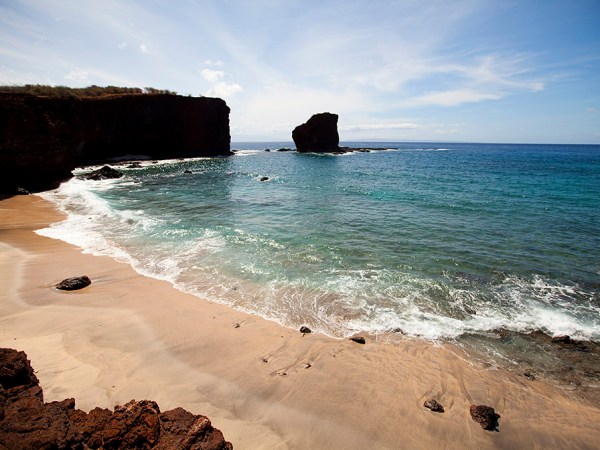 a group of people on a rocky beach next to the ocean
