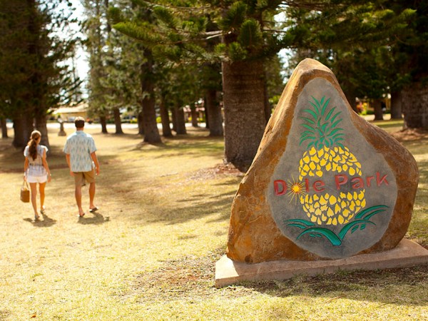 a person sitting in a park