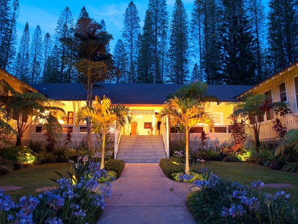 a tree in front of a building
