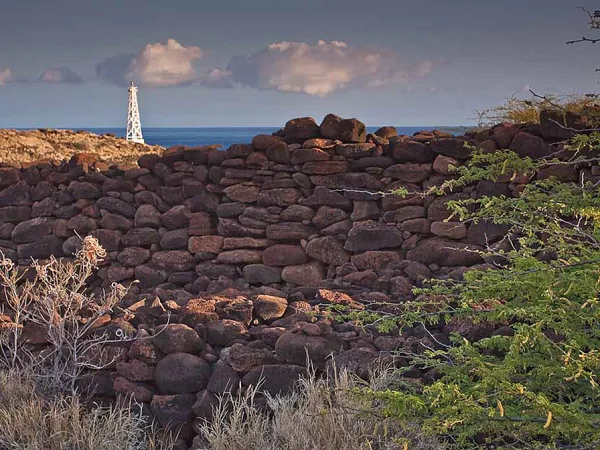 a herd of sheep standing on top of a rock wall