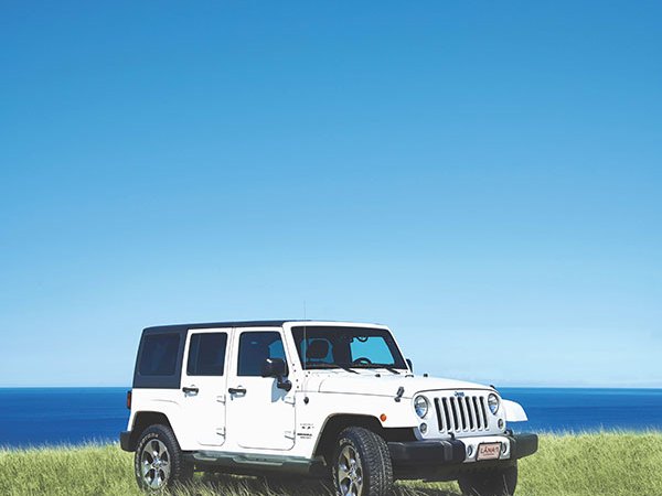 a car parked in a grassy field