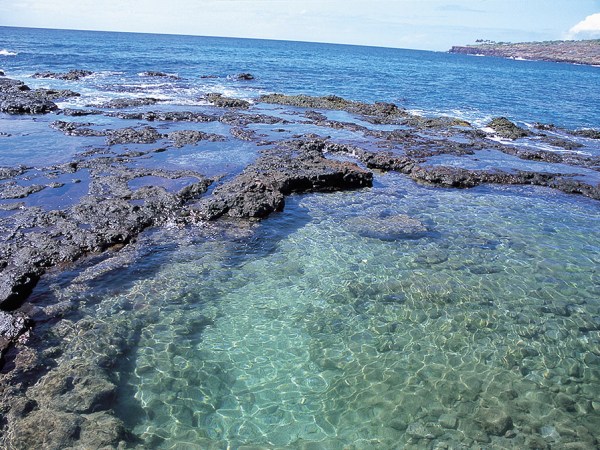 a rocky beach next to the ocean